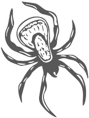 Blak Widow Logo - PNG_edited_edited.png